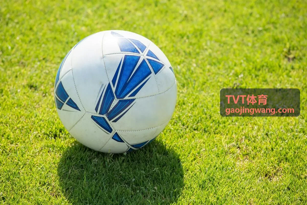 TVT体育实时监控
